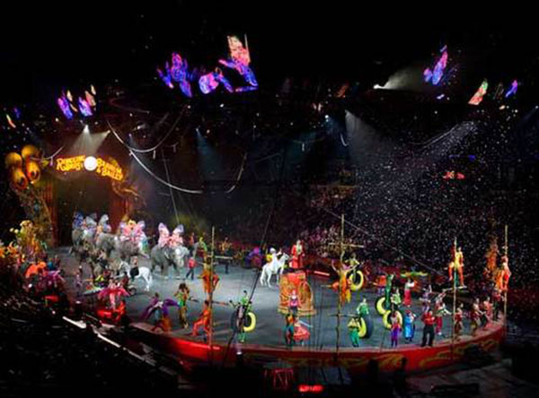 Дүрсгүй галуу, өхөөрдөм баавгайнууд